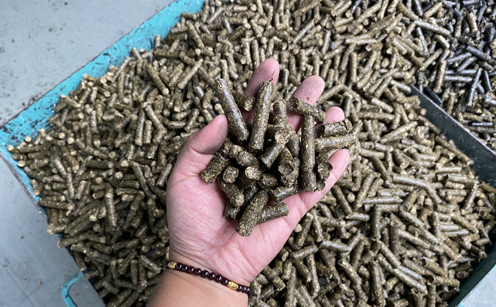 木屑制粒機(jī)生物顆粒真正實(shí)現(xiàn)燃料變廢為寶